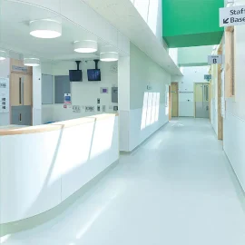 Mania  Acid and alkali resistance homogeneous flooring