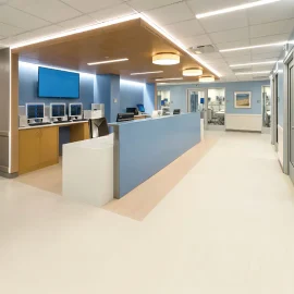 No.100  Eco-friendly & easy cleaning homogeneous flooring